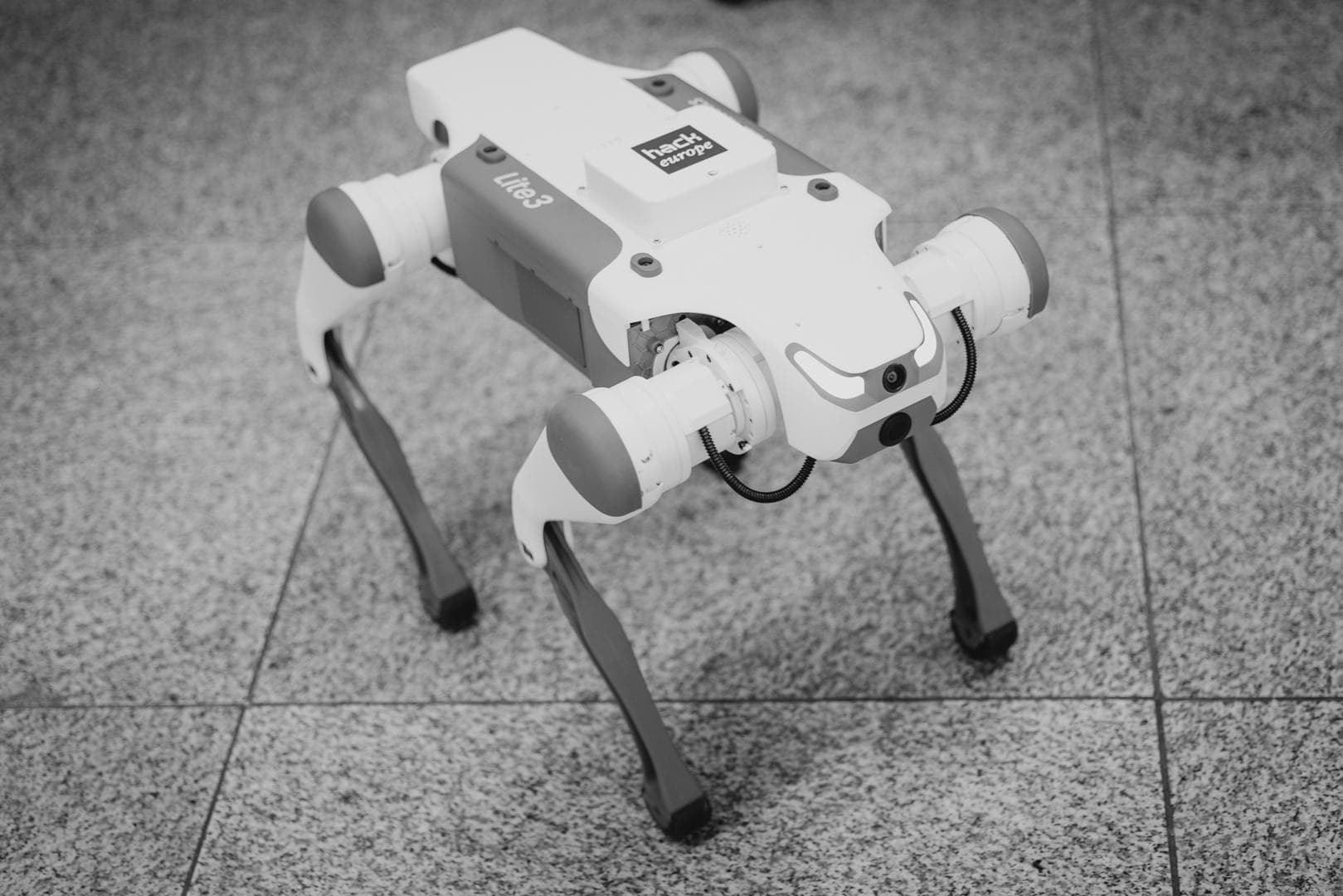 A HackEurope-branded robot dog built at HackEurope 2026